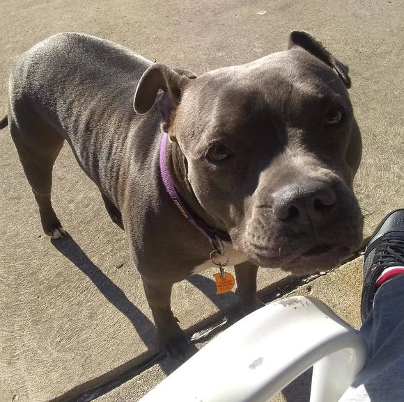 Meet your Posher, Nathaniel - Picture 1 of 1